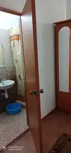 Сосновый бор - 3