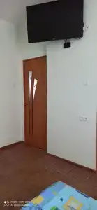 Сосновый бор - 4
