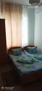 Сосновый бор - 5