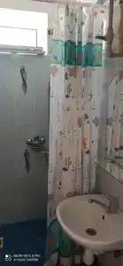 Сосновый бор - 8