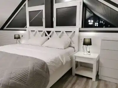 Altay dream house - 59
