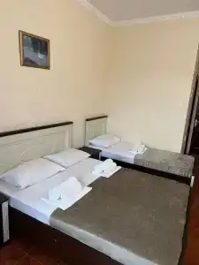 Зиридис - 11