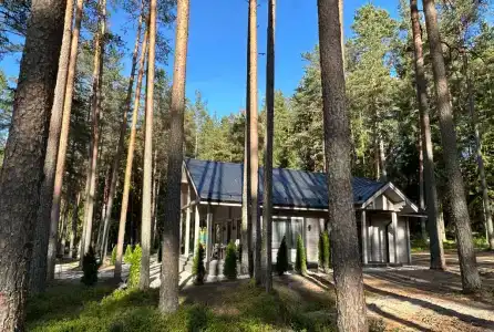 Бор Белек - 6