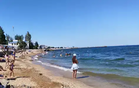 Манго - 20