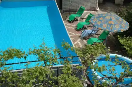 Манго - 1
