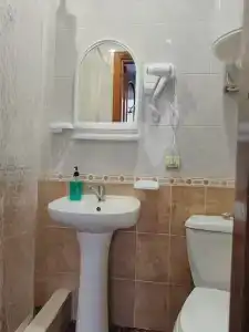 Манго - 3