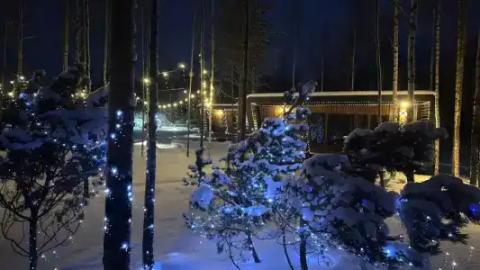 Лещ - 33