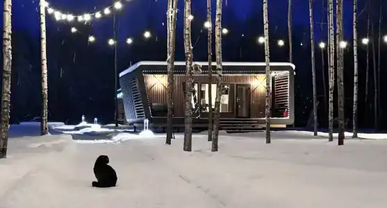 Лещ - 28