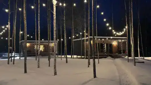 Лещ - 27