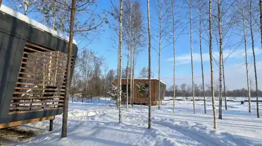 Лещ - 19