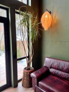 Место силы - 198