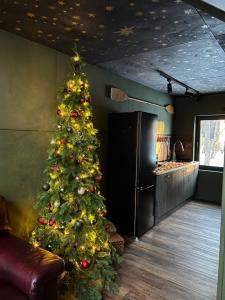 Место силы - 207