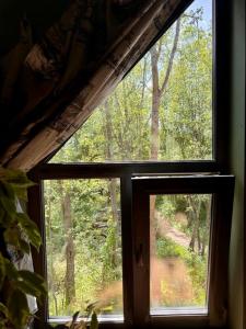 Место силы - 181