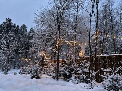 Место силы - 215