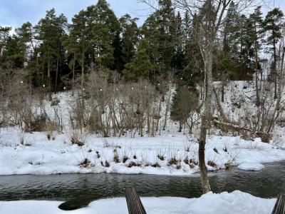 Место силы - 219