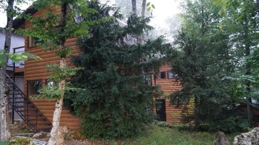 Медвежий Угол - 3