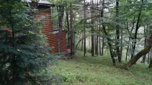 Медвежий Угол - 16