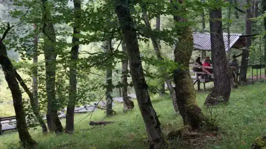 Медвежий Угол - 10