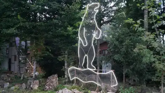 Медвежий Угол - 18