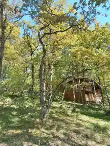 Медвежий Угол - 55