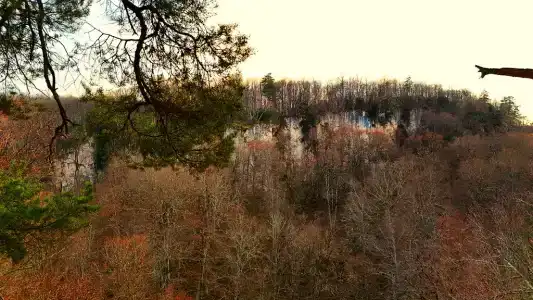 Медвежий Угол - 37