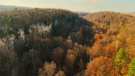 Медвежий Угол - 38