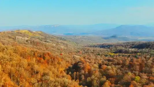 Медвежий Угол - 39