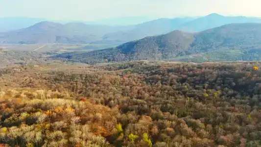 Медвежий Угол - 36