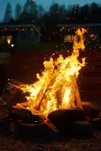 Карелия Парк - 161