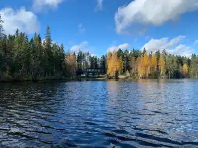 Глэнта - 1