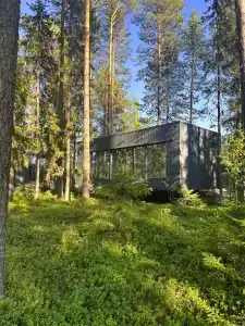 Глэнта - 4