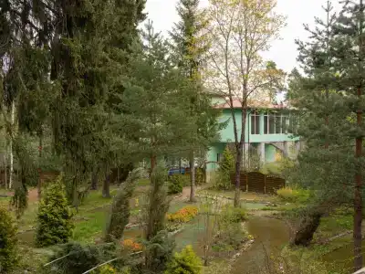 Forest Relax - 2
