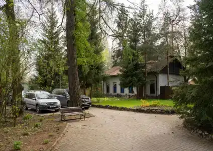 Forest Relax - 6