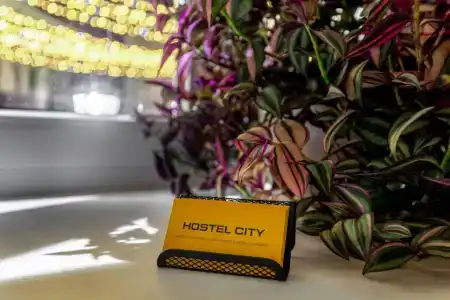 City - 5