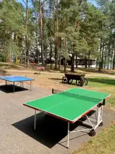 Лукоморье - 18