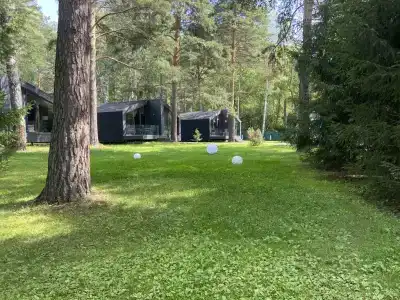 Сосновый Бор - 14