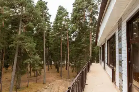 СнегинЪ - 9
