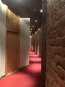Демократ на Каменноостровском 26-28 - 6