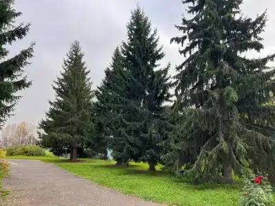 Солнечный - 0