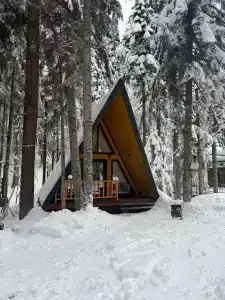 Кавказский двор - 10