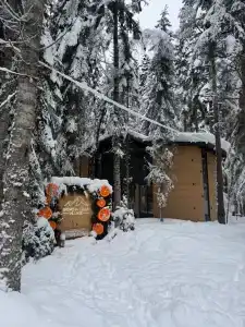 Кавказский двор - 11