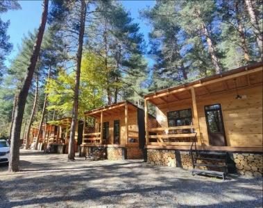 Дом на базе Лес - 8