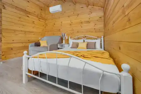 Кипарис Груп - 23