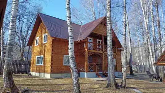 Митькина Заимка - 10