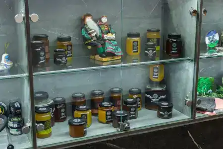 Аристоль - 3