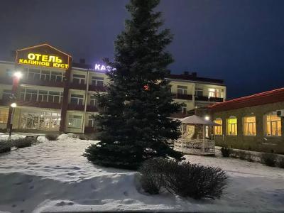 Калинов куст - 1