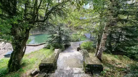 WoodLand hotel - 5