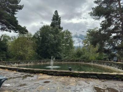 WoodLand hotel - 7