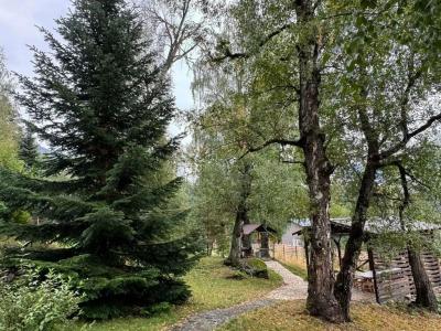 WoodLand hotel - 8