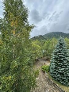 WoodLand hotel - 10